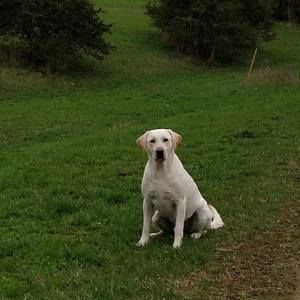 Meet your Posher, Benson